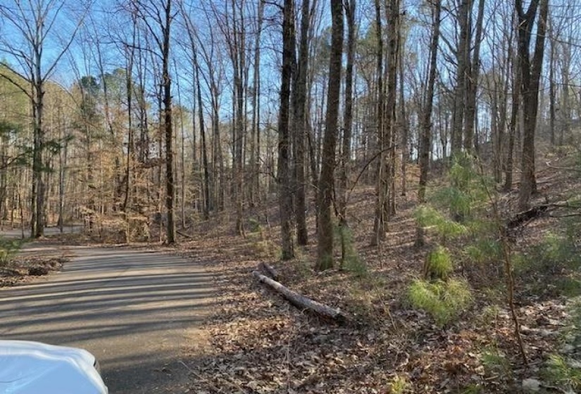 3595 NORTHSHORE DR, Savannah, Tennessee 38372, ,Land,For Sale,NORTHSHORE,10224684
