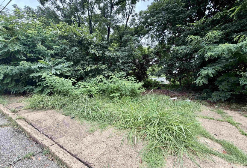 160 MCKELLAR AVE, Memphis, Tennessee 38109, 0 , 0 ,0,Land,For Sale,MCKELLAR,0,10224698