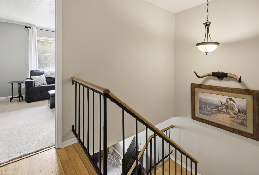 2nd bedroom / home office at end of hall.  It overlooks the grassy area.