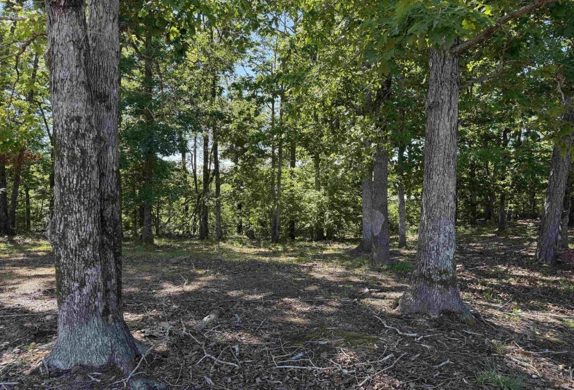 520 COY HILL RD, Olivehill, Tennessee 38475, 2 Bedrooms Bedrooms, 5 Rooms Rooms,1 BathroomBathrooms,Residential,For Sale,COY HILL,10213004