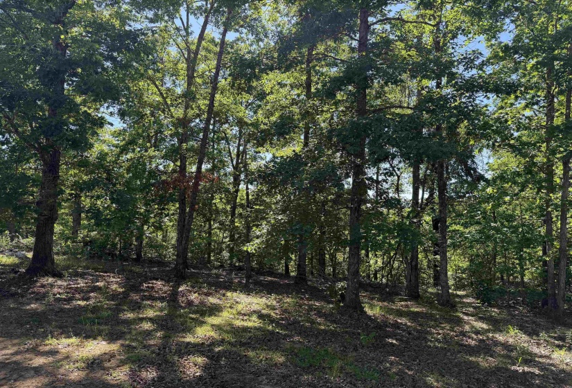 520 COY HILL RD, Olivehill, Tennessee 38475, 2 Bedrooms Bedrooms, 5 Rooms Rooms,1 BathroomBathrooms,Residential,For Sale,COY HILL,10213004