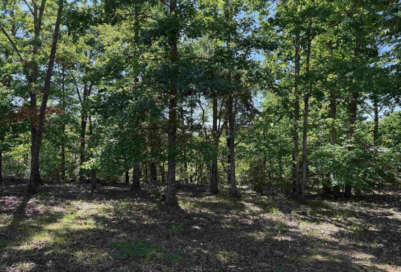 520 COY HILL RD, Olivehill, Tennessee 38475, 2 Bedrooms Bedrooms, 5 Rooms Rooms,1 BathroomBathrooms,Residential,For Sale,COY HILL,10213004