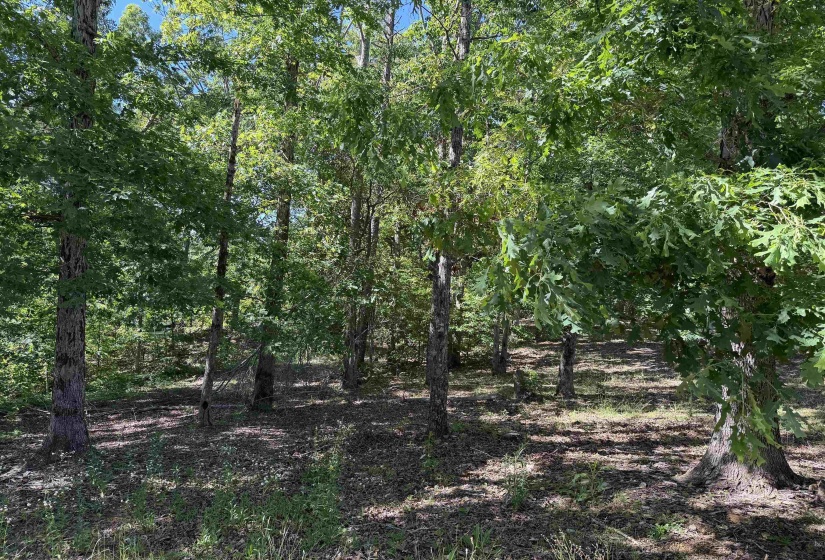 520 COY HILL RD, Olivehill, Tennessee 38475, 2 Bedrooms Bedrooms, 5 Rooms Rooms,1 BathroomBathrooms,Residential,For Sale,COY HILL,10213004