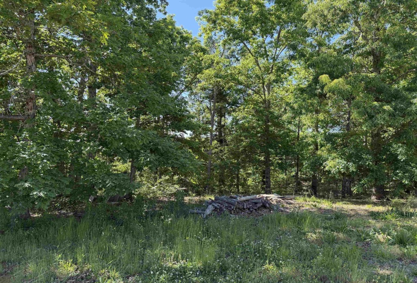 520 COY HILL RD, Olivehill, Tennessee 38475, 2 Bedrooms Bedrooms, 5 Rooms Rooms,1 BathroomBathrooms,Residential,For Sale,COY HILL,10213004