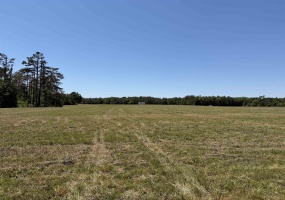 7 BETHLEHEM RD, Adamsville, Tennessee 38310, ,Land,For Sale,BETHLEHEM,10224716