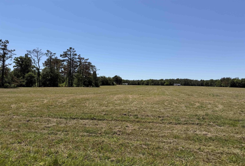 7 BETHLEHEM RD, Adamsville, Tennessee 38310, ,Land,For Sale,BETHLEHEM,10224716