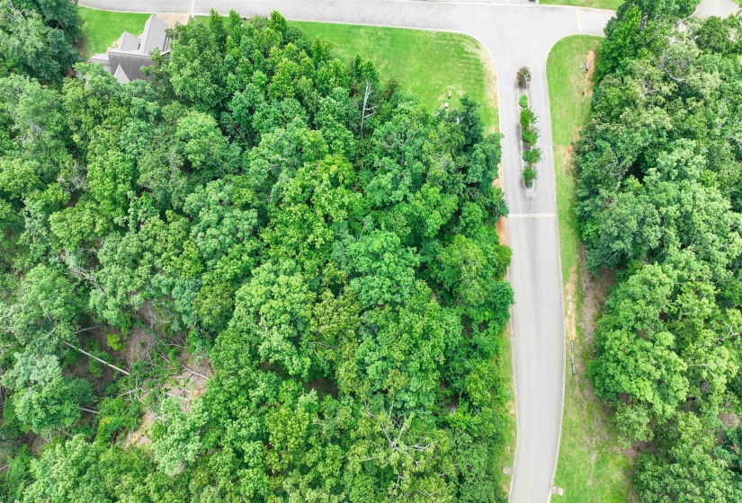 58 BREATHTAKING LOOP, Savannah, Tennessee 38372, ,Land,For Sale,BREATHTAKING,10224735