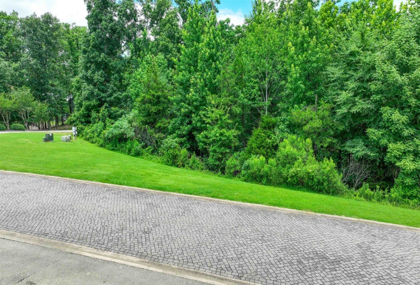 58 BREATHTAKING LOOP, Savannah, Tennessee 38372, ,Land,For Sale,BREATHTAKING,10224735