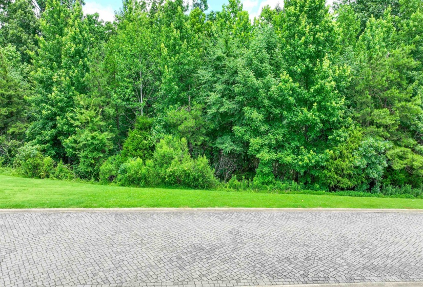 58 BREATHTAKING LOOP, Savannah, Tennessee 38372, ,Land,For Sale,BREATHTAKING,10224735