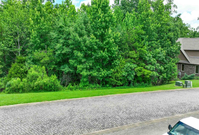 58 BREATHTAKING LOOP, Savannah, Tennessee 38372, ,Land,For Sale,BREATHTAKING,10224735
