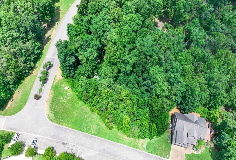 58 BREATHTAKING LOOP, Savannah, Tennessee 38372, ,Land,For Sale,BREATHTAKING,10224735