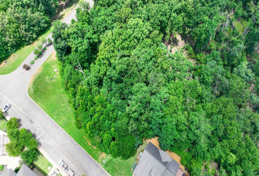 58 BREATHTAKING LOOP, Savannah, Tennessee 38372, ,Land,For Sale,BREATHTAKING,10224735