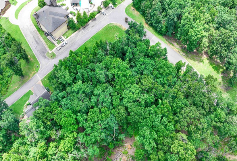 58 BREATHTAKING LOOP, Savannah, Tennessee 38372, ,Land,For Sale,BREATHTAKING,10224735