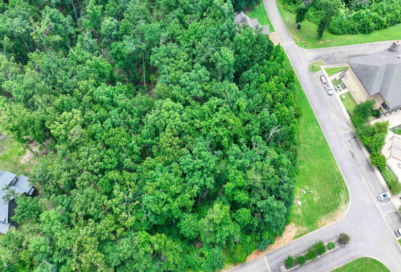 58 BREATHTAKING LOOP, Savannah, Tennessee 38372, ,Land,For Sale,BREATHTAKING,10224735