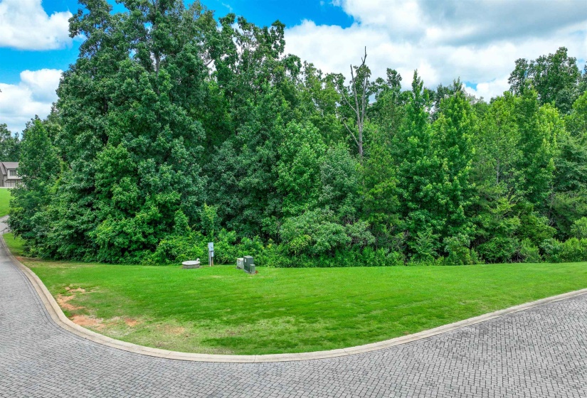 59 BREATHTAKING LOOP, Savannah, Tennessee 38372, ,Land,For Sale,BREATHTAKING,10224736
