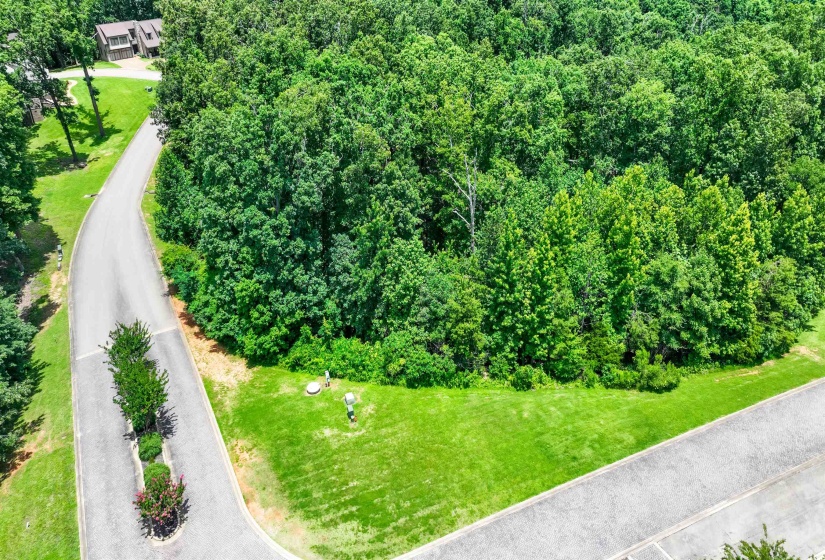 59 BREATHTAKING LOOP, Savannah, Tennessee 38372, ,Land,For Sale,BREATHTAKING,10224736
