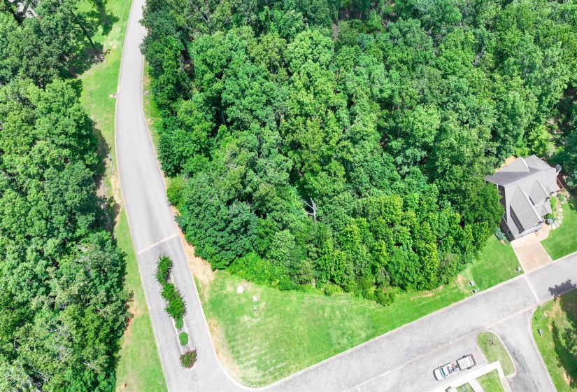 59 BREATHTAKING LOOP, Savannah, Tennessee 38372, ,Land,For Sale,BREATHTAKING,10224736