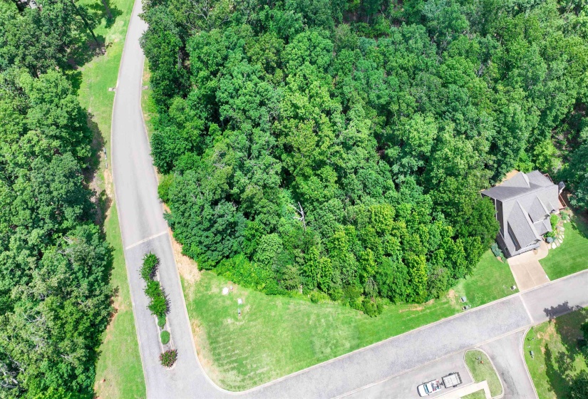 59 BREATHTAKING LOOP, Savannah, Tennessee 38372, ,Land,For Sale,BREATHTAKING,10224736
