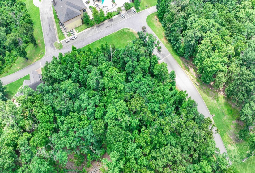 59 BREATHTAKING LOOP, Savannah, Tennessee 38372, ,Land,For Sale,BREATHTAKING,10224736