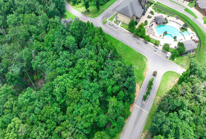 59 BREATHTAKING LOOP, Savannah, Tennessee 38372, ,Land,For Sale,BREATHTAKING,10224736