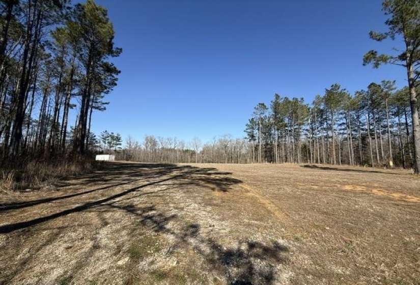 0 POTTERY RD. RD, Michigan City, Mississippi 38647, ,Land,For Sale,POTTERY RD.,10224753
