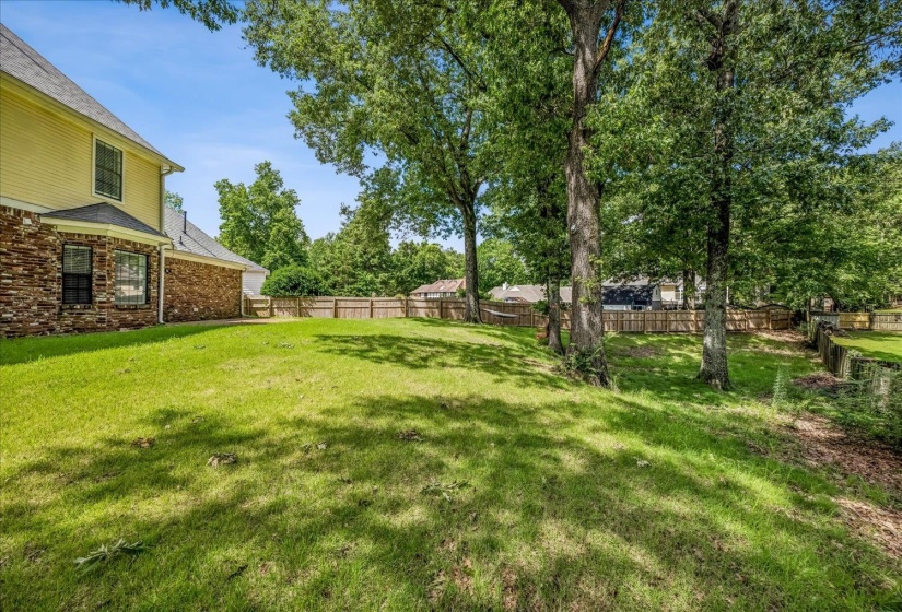 Expansive lawn area featuring mature trees and a wood privacy fence