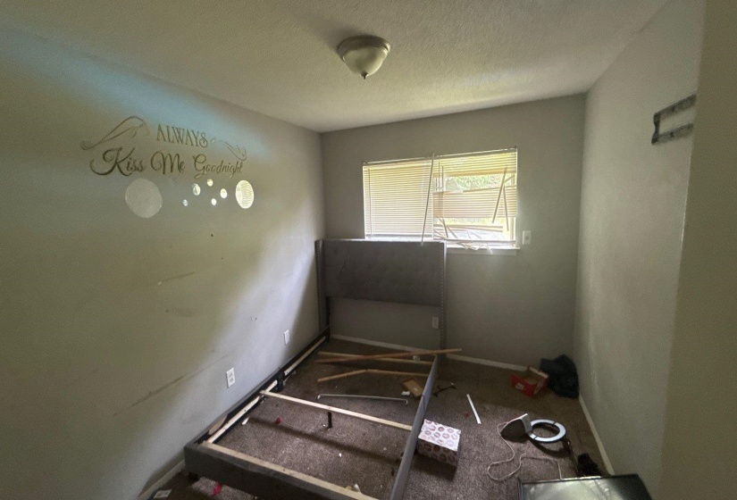 Interior room featuring a single window with blinds, carpeted flooring, and a ceiling-mounted light fixture