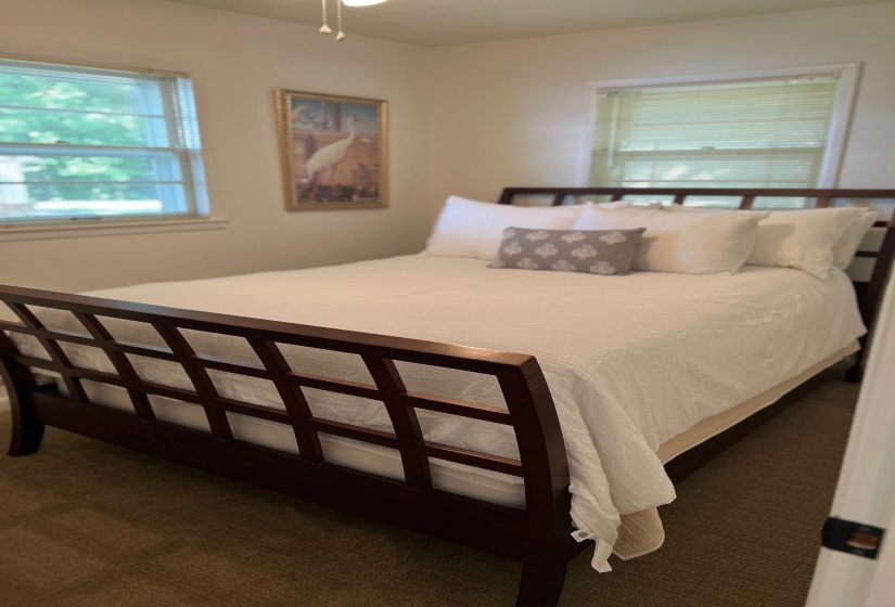 Carpeted room featuring dual windows with blinds, a ceiling fan with light fixture, and neutral wall paint