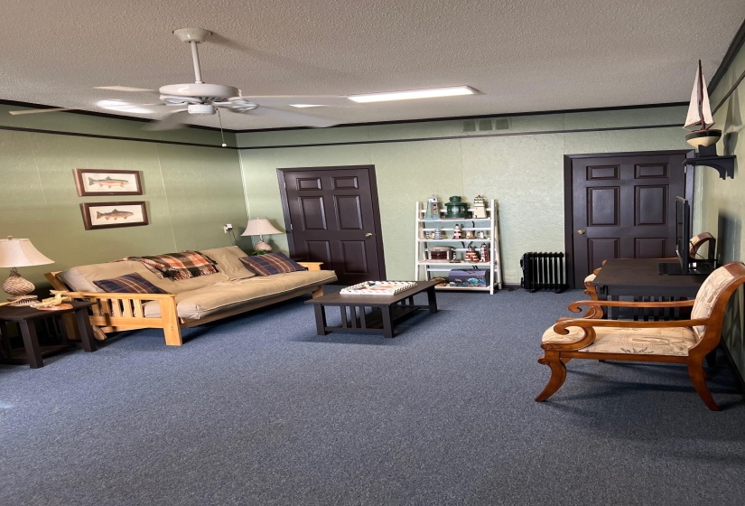 Interior space featuring blue carpet flooring, light green walls with dark trim, and two dark paneled doors