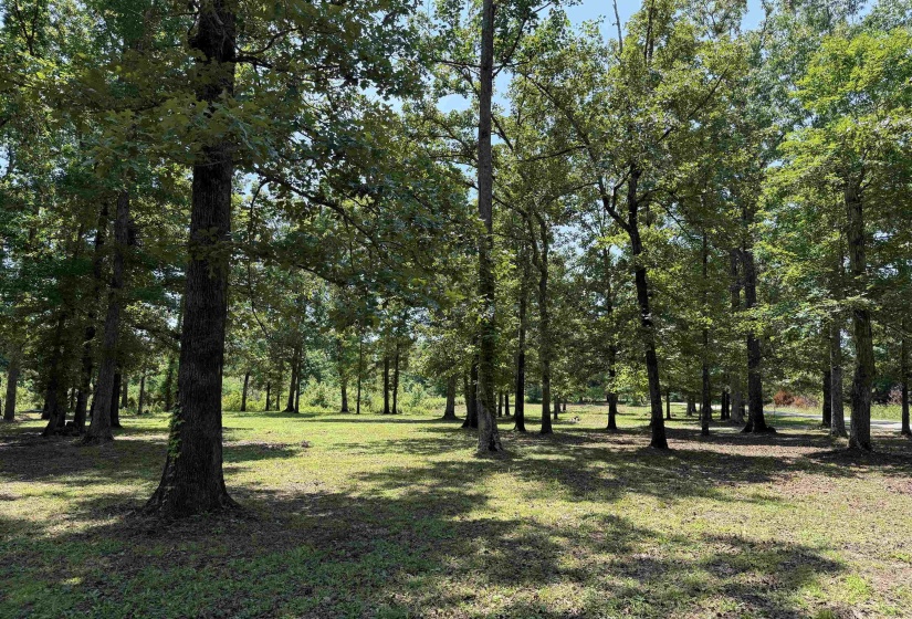 730 OLD UNION RD, Adamsville, Tennessee 38310, 2 Bedrooms Bedrooms, 6 Rooms Rooms,2 BathroomsBathrooms,Residential,For Sale,OLD UNION,10224742