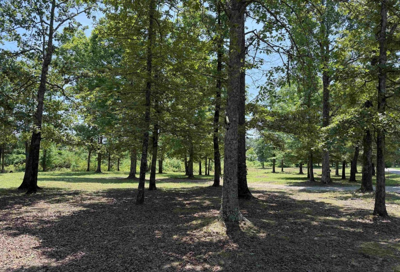 730 OLD UNION RD, Adamsville, Tennessee 38310, 2 Bedrooms Bedrooms, 6 Rooms Rooms,2 BathroomsBathrooms,Residential,For Sale,OLD UNION,10224742