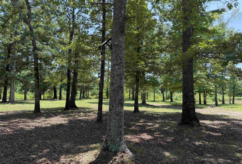 730 OLD UNION RD, Adamsville, Tennessee 38310, 2 Bedrooms Bedrooms, 6 Rooms Rooms,2 BathroomsBathrooms,Residential,For Sale,OLD UNION,10224742