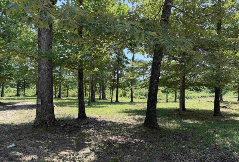 730 OLD UNION RD, Adamsville, Tennessee 38310, 2 Bedrooms Bedrooms, 6 Rooms Rooms,2 BathroomsBathrooms,Residential,For Sale,OLD UNION,10224742