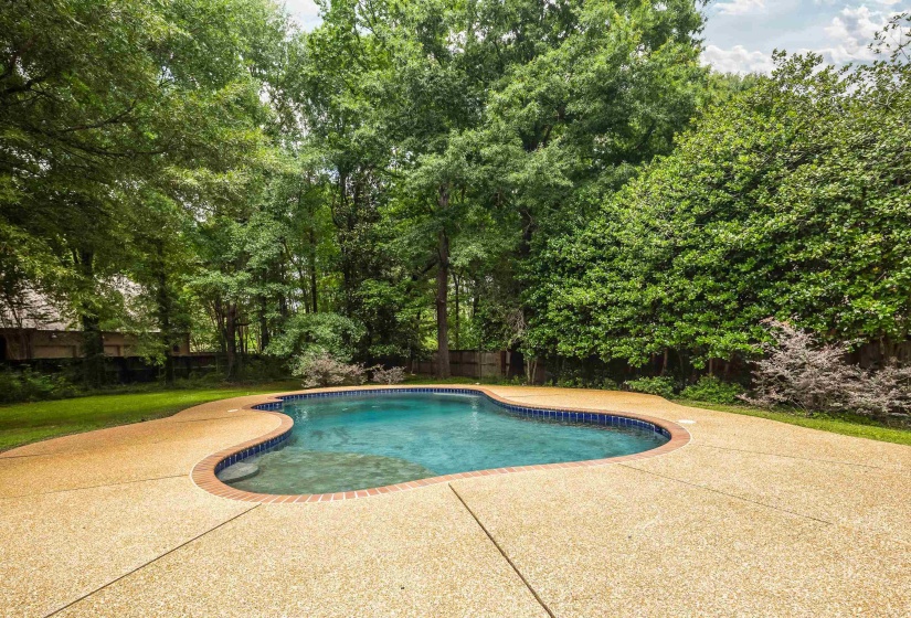 Freeform swimming pool with a textured aggregate deck and surrounding mature trees and hedges