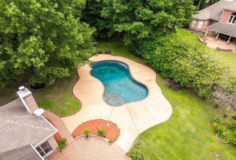 Freeform swimming pool with expansive surrounding concrete decking
