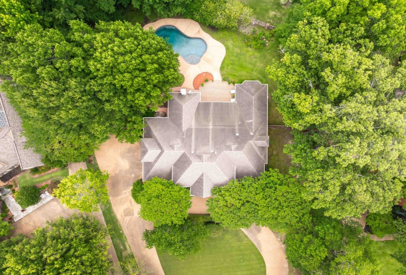 Expansive property featuring a multi-gabled roofline, a freeform swimming pool with surrounding patio, mature trees providing extensive canopy, and a sweeping driveway
