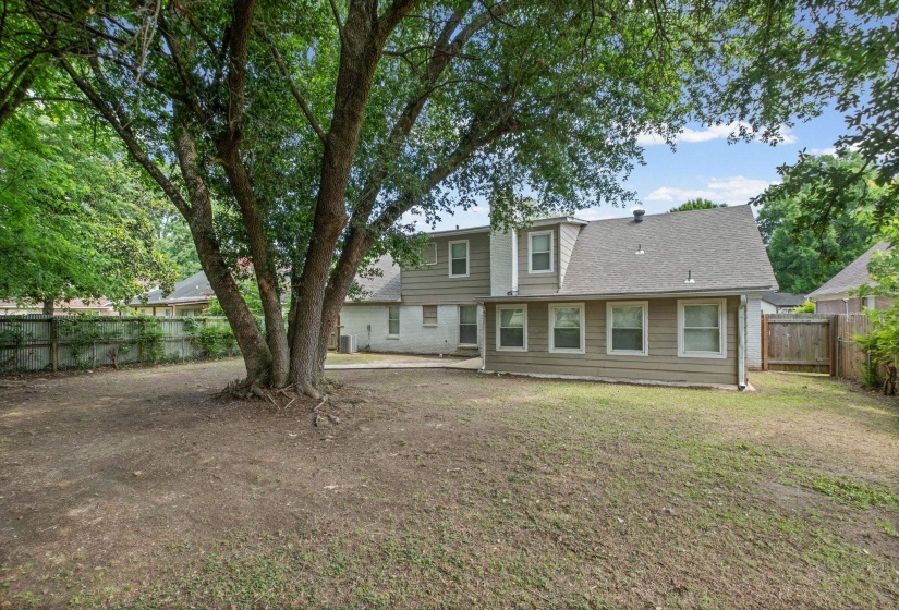 Expansive backyard featuring a mature deciduous tree, wood privacy fence, and a portion of the property's exterior with multiple windows