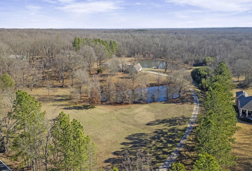 Bird's eye view of a forest and a large body of water