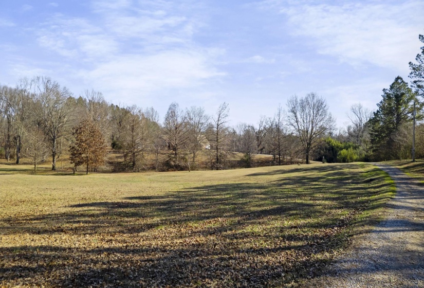 View of green lawn