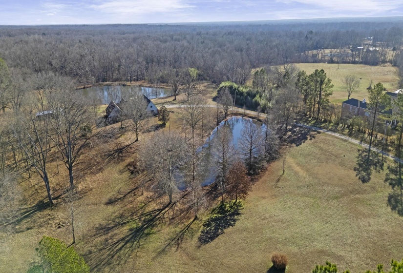 Drone / aerial view of a forest and a large body of water