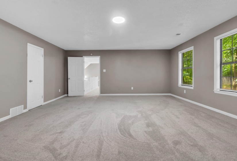 Spacious room featuring neutral carpeting, light gray walls, two windows with blinds, a white paneled door, and an overhead light fixture