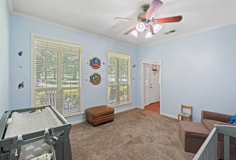 Carpeted room featuring two large windows with blinds, crown molding, and a ceiling fan with light fixture