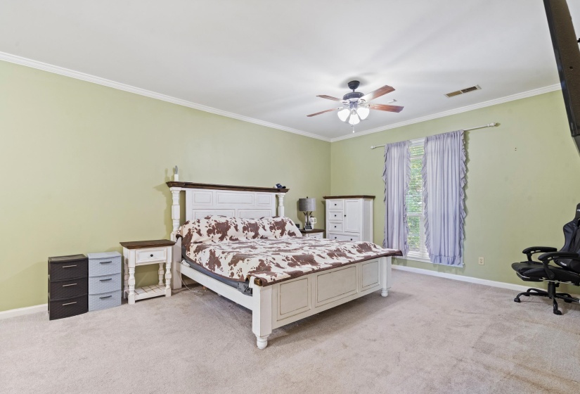 Spacious bedroom featuring light green walls, white crown molding, a ceiling fan with light fixture, and a large window with privacy blinds