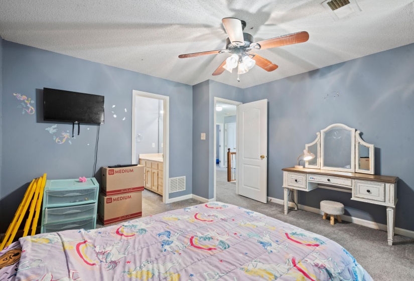 Blue-painted room featuring a ceiling fan with light fixture and soft carpet flooring