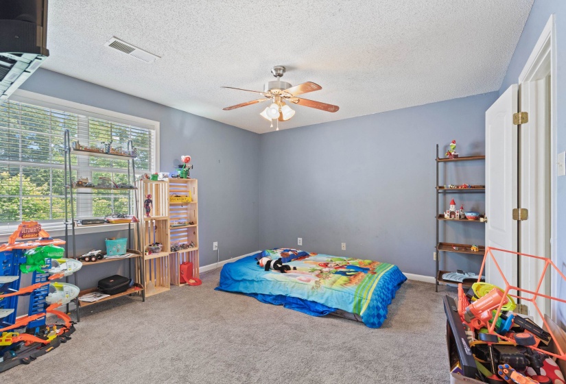 Carpeted room with a ceiling fan, a window with blinds, and white trim