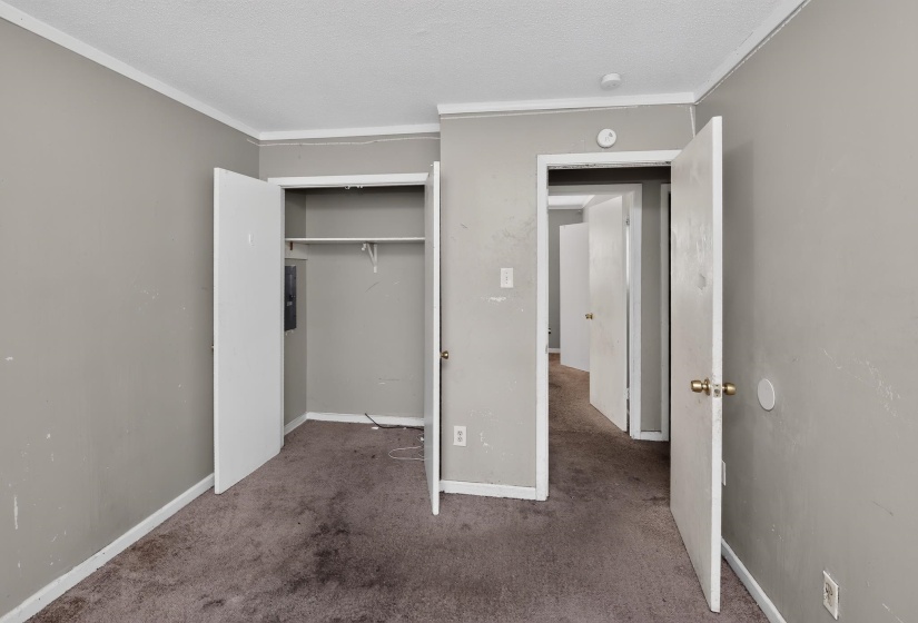 Carpeted room featuring a built-in closet with bi-fold doors and overhead shelving, light gray wall paint, and white trim molding