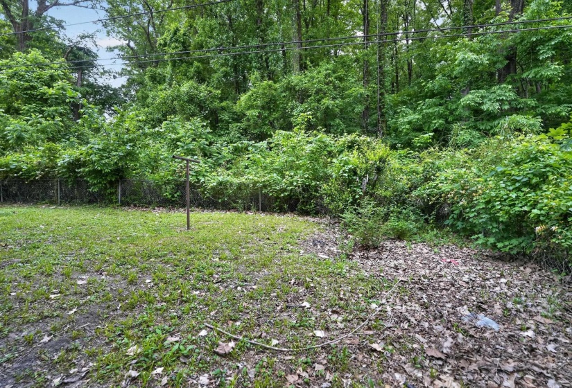 Yard