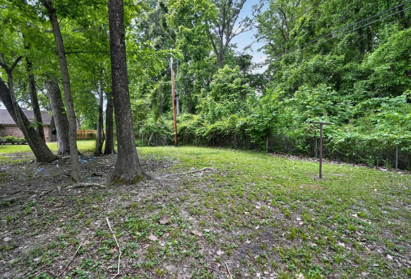 Expansive outdoor space featuring mature trees and a partial chain-link fence