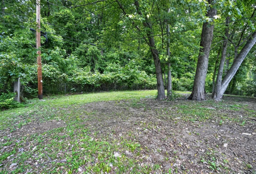 Expansive lot featuring mature trees, a clear grassy area, and a natural wooded backdrop