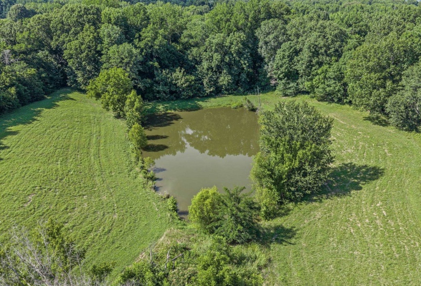 5176 59 HWY, Covington, Tennessee 38019, 2 Bedrooms Bedrooms, 5 Rooms Rooms,2 BathroomsBathrooms,Residential,For Sale,59,10224817